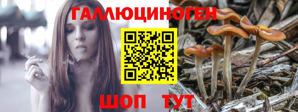 Галлюциногенные грибы прущие грибы Златоуст